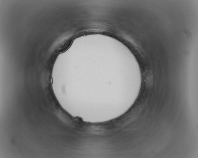 X0000113101448200910091129