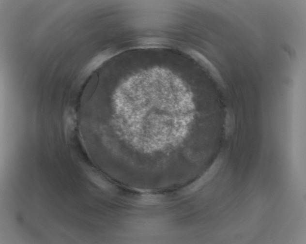 X0000113101449200910091129