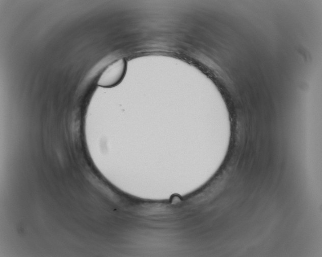 X0000113101450200910091129