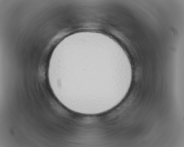 X0000113101451200910091129