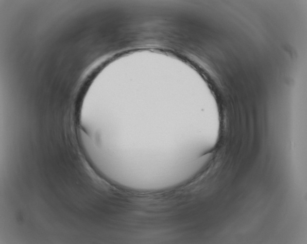 X0000113101452200910091129