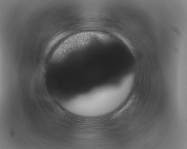 X0000113101453200910091129