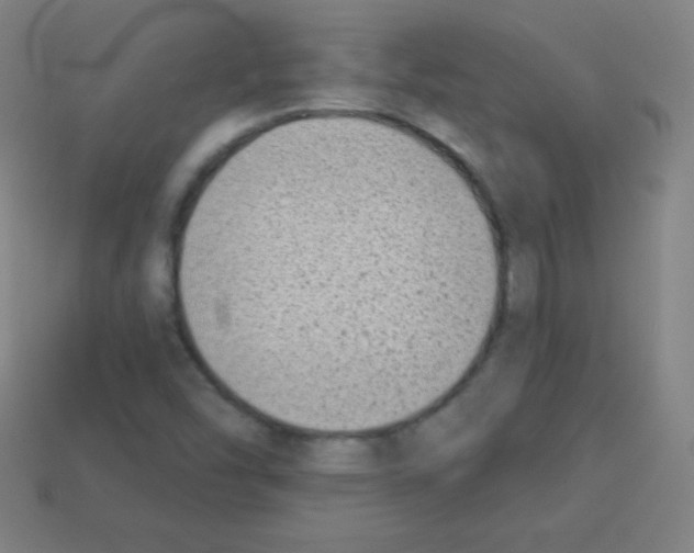 X0000113101454200910091129