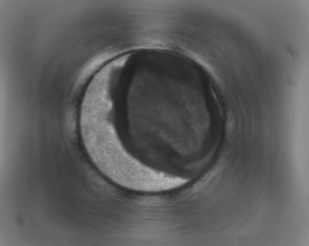 X0000113101455200910091129