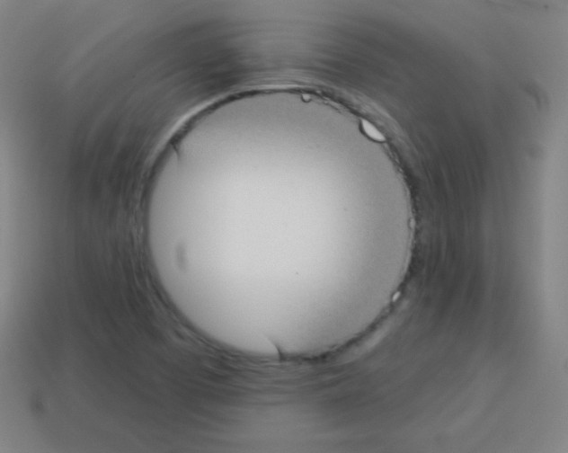 X0000113101457200910091129