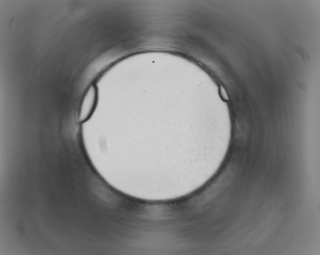 X0000113101461200910091129