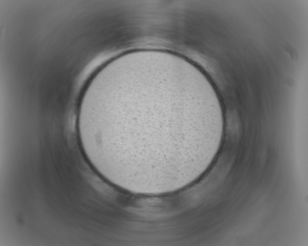 X0000113101462200910091129