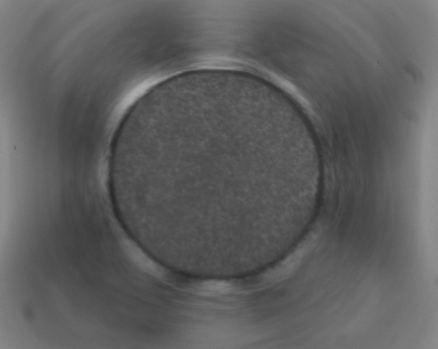 X0000113101463200910091129