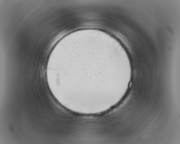 X0000113101465200910091129