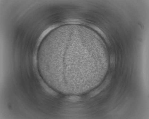 X0000113101466200910091129