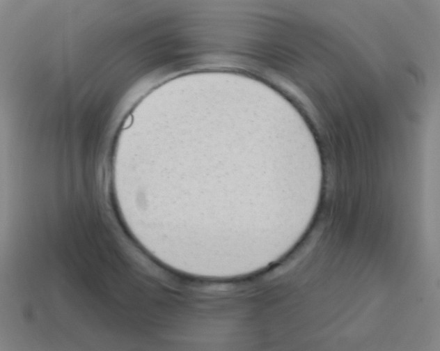 X0000113101467200910091129