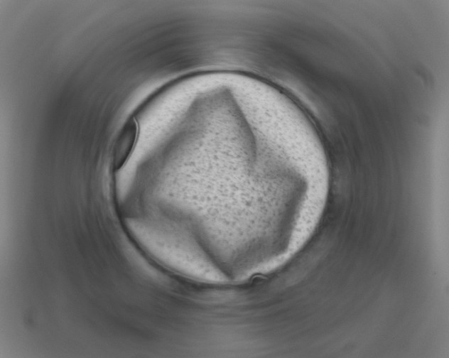X0000113101468200910091129