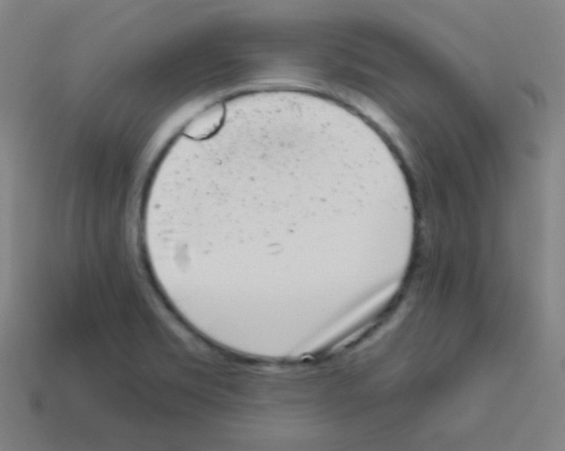 X0000113101469200910091129