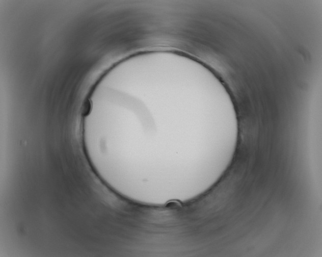 X0000113101472200910091129