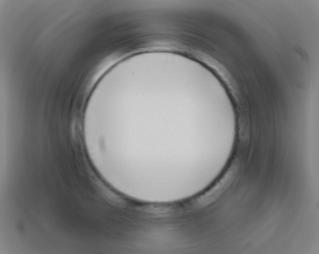 X0000113101473200910091129