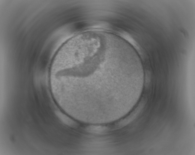 X0000113101474200910091129