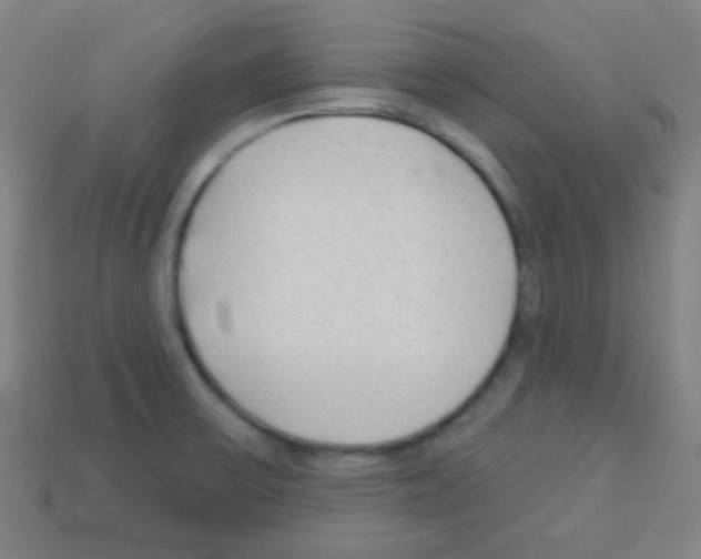 X0000113101475200910091129