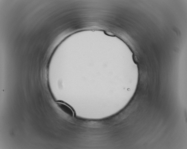 X0000113101476200910091129
