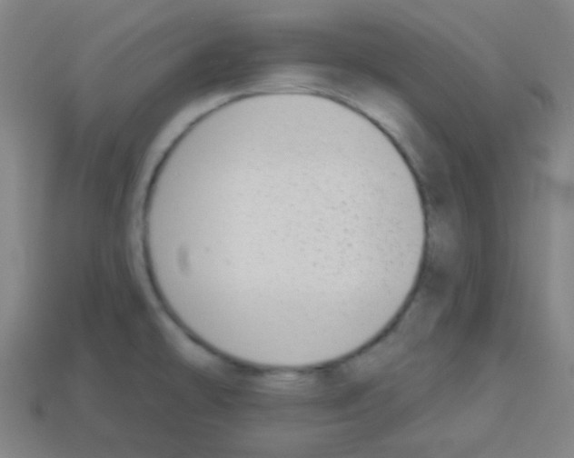 X0000113101478200910091129