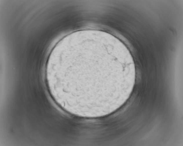 X0000113101479200910091129