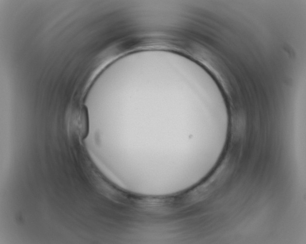 X0000113101481200910091129