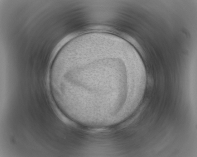 X0000113101482200910091129