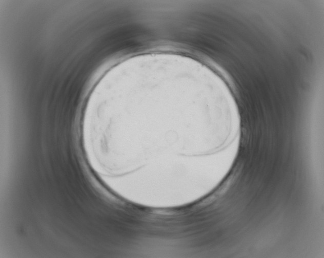 X0000113101483200910091129
