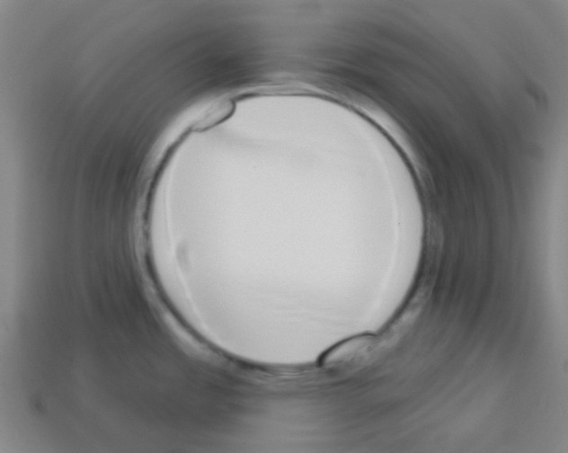 X0000113101485200910091129