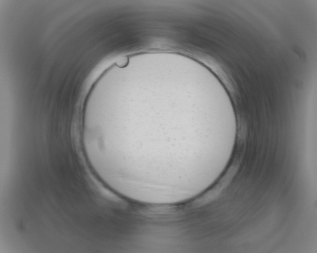 X0000113101486200910091129