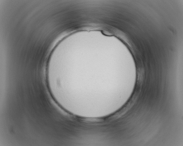 X0000113101487200910091129