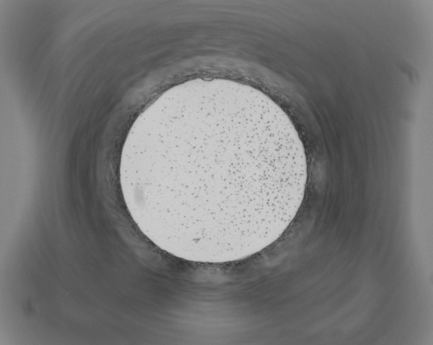 X0000113101489200910091128