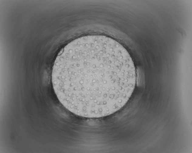 X0000113101491200910091128