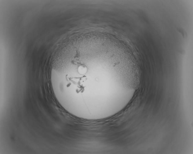 X0000113101492200910091128