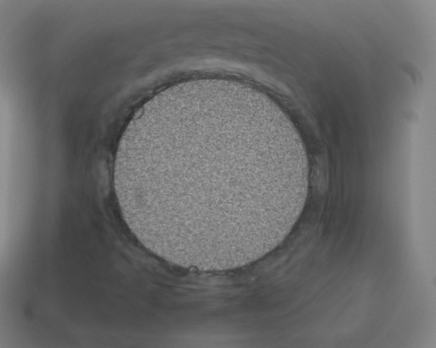 X0000113101493200910091128