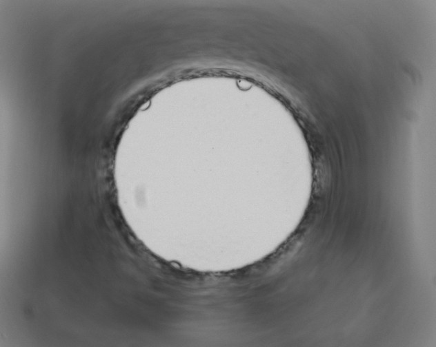 X0000113101494200910091128
