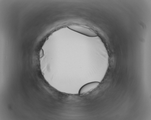 X0000113101496200910091128