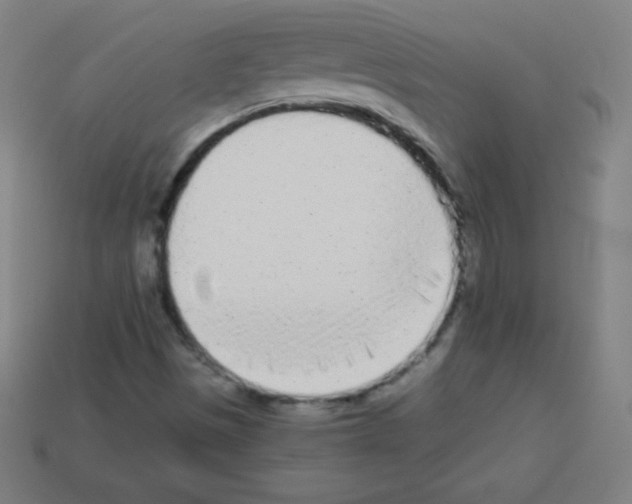 X0000113101497200910091128
