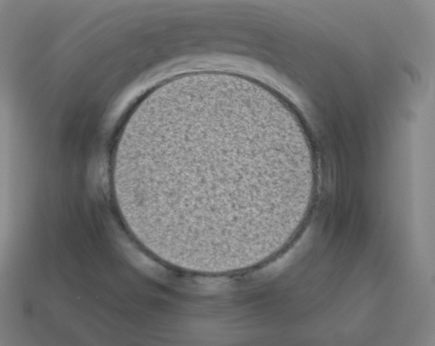 X0000113101498200910091128