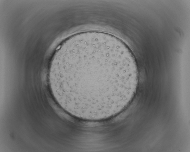 X0000113101499200910091128