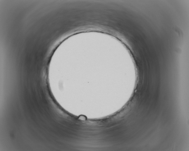 X0000113101500200910091128