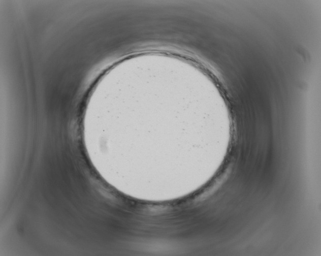 X0000113101501200910091128