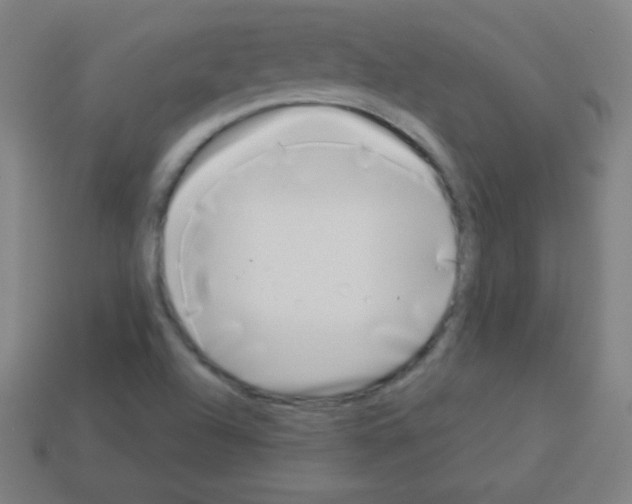 X0000113101504200910091129