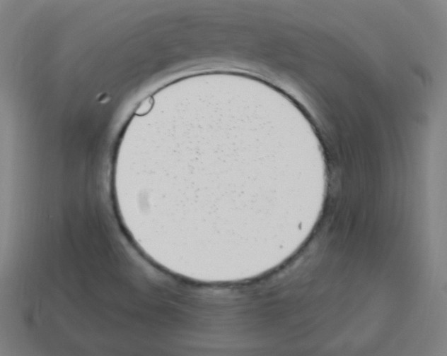 X0000113101508200910091129