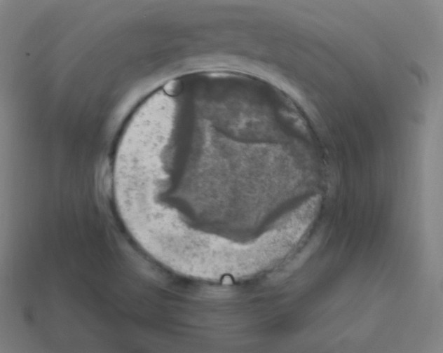 X0000113101509200910091129