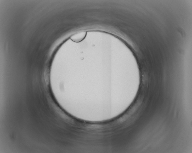 X0000113101510200910091129