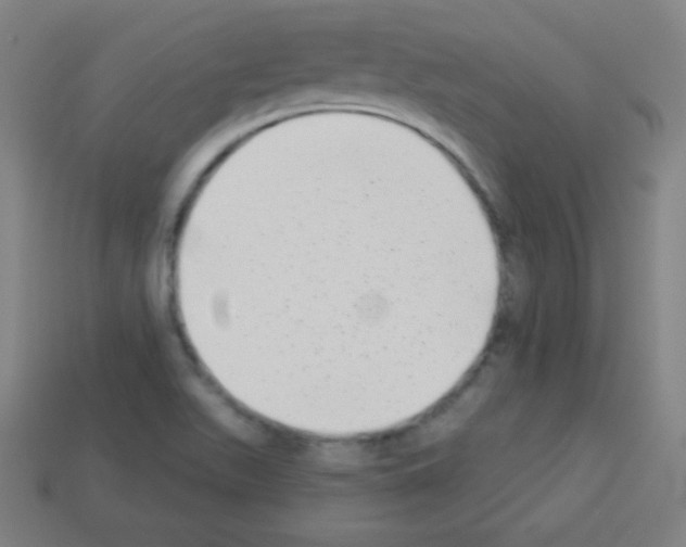 X0000113101511200910091129