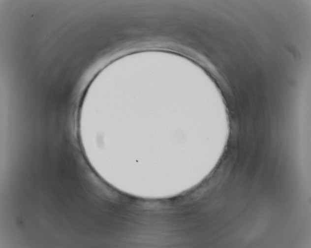 X0000113101512200910091129