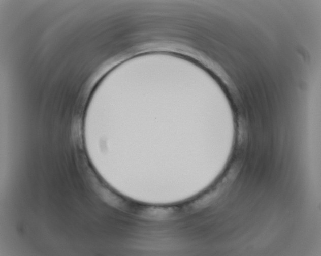 X0000113101513200910091129