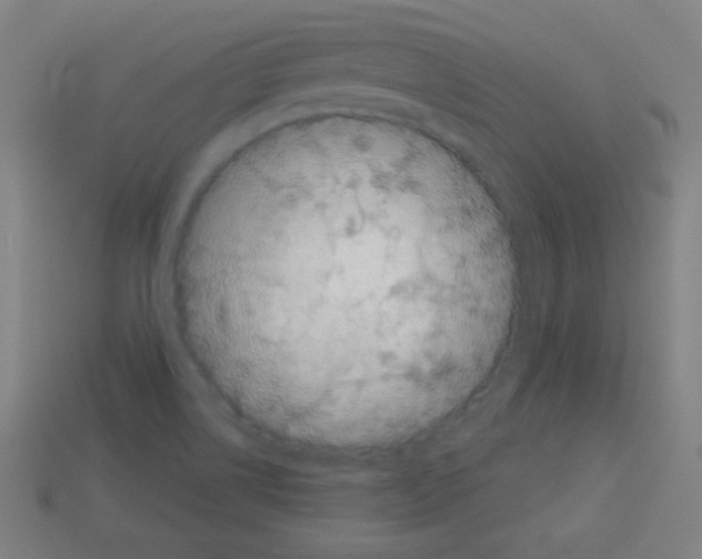 X0000113101514200910091129