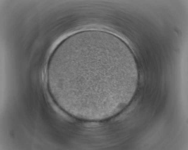 X0000113101515200910091129